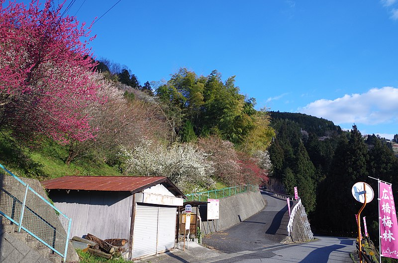 File:広橋梅林 乳屋辻バス停付近 Chichiya-tsuji bus stop 2014.3.22 - panoramio.jpg