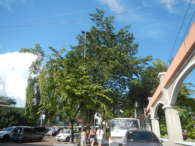 File:02401jfN. Domingo Street San Juan Plaza Mayor Puregold Agora Progeso Rivera San Juan Cityfvf 02.jpg