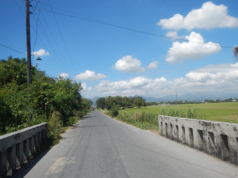 File:120Balsik Saba Road, Hermosa, Bataan 11.jpg