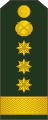 Colonel (Полковник)