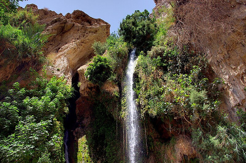 File:2010-06-18 09-29-47 Israel Ejn Gedi JH (52783862330).jpg