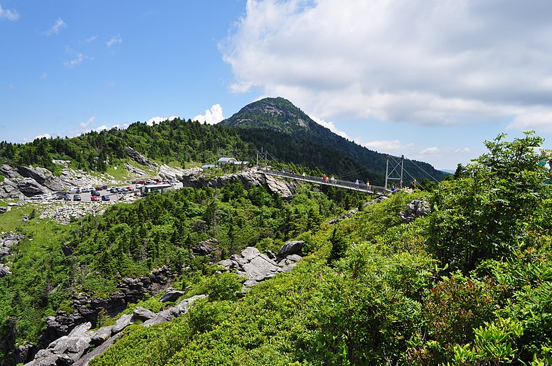 File:2010-06 Grandfather Mountain bridge 5044.jpg