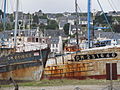 Épaves dans le port de Camaret 2