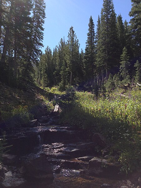 File:2013-08-09 10 13 15 View up the upper Jarbidge River in the upper Jarbidge River Canyon in Nevada.jpg