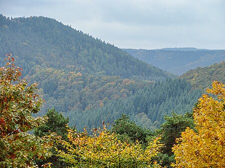 2013 Pfälzerwald 411 Hahnenschritt