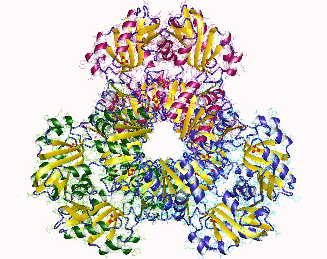 Ribose-phosphate diphosphokinase