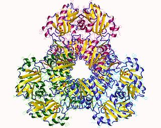 <span class="mw-page-title-main">Ribose-phosphate diphosphokinase</span> Class of enzymes