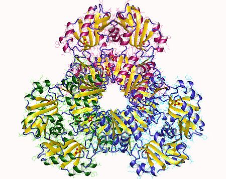 Ribose-phosphate_diphosphokinase