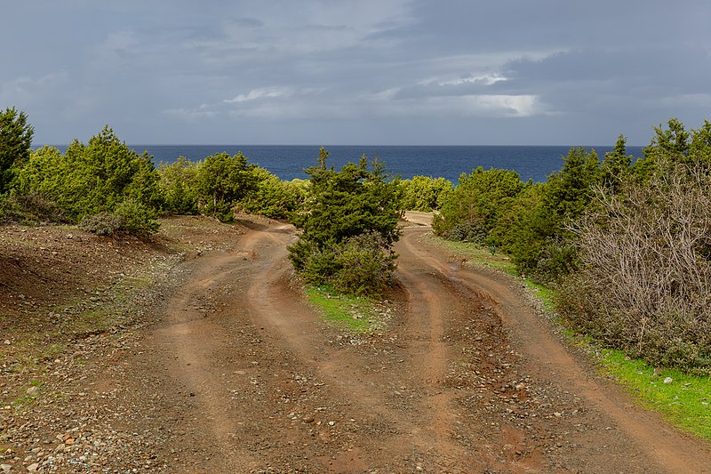 File:A road in Akamas, Cyprus.jpg