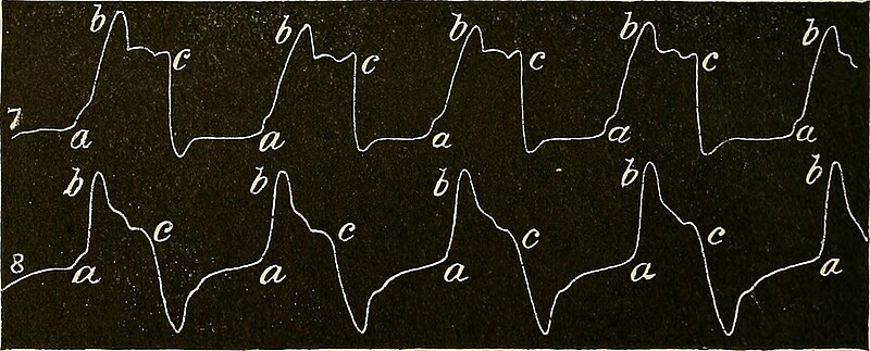 File:A text-book of physiology - for medical students and physicians (1916) (14583611950).jpg