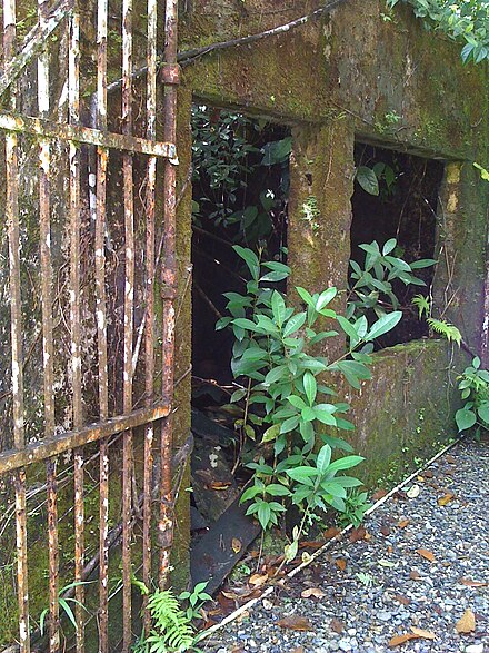 The old prison was abandoned in 1984, now covered by jungle