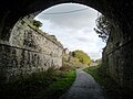 Abutments, eastern portal, former railway tunnel - geograph.org.uk - 2137322.jpg