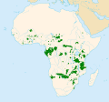 Distribution of Loxodonta africana africana and Loxodonta africana cyclotis