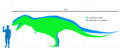 Albertosaurus and Gorgosaurus scale