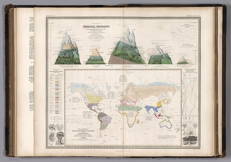 File:Alexander von Humboldt - 1850 - Geographical Distribution of Plants.jpg