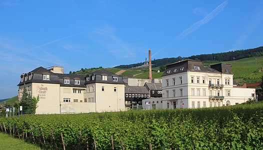 Altes Asbach-Gelände Rüdesheim am Rhein