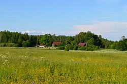 Antaniškis (Zarasų r.).JPG