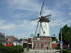 Windmill De Arkduif