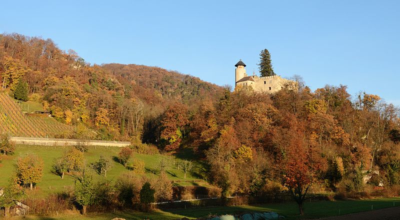 File:Arlesheim - Burg Birseck1.jpg