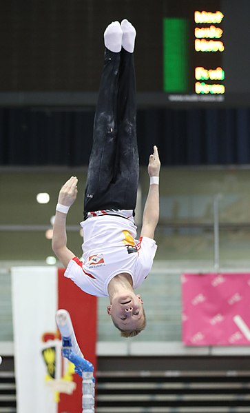 File:Austrian Future Cup 2018-11-23 Training Afternoon Parallel bars (Martin Rulsch) 0898.jpg