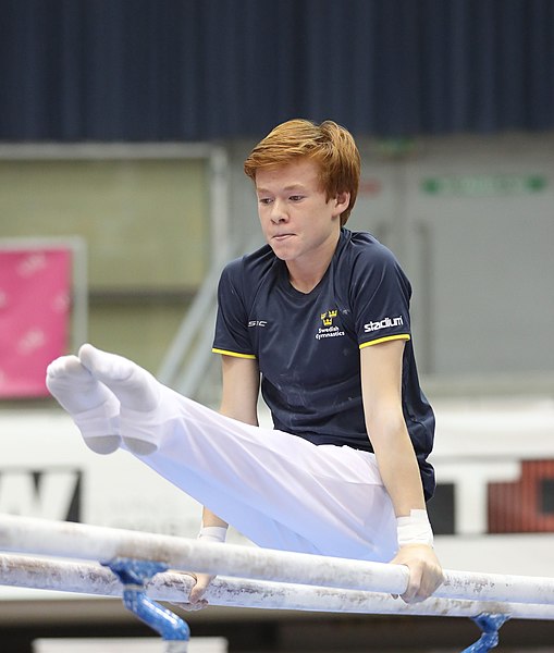 File:Austrian Future Cup 2018-11-23 Training Afternoon Parallel bars (Martin Rulsch) 0913.jpg