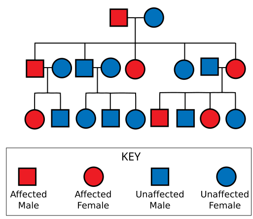 achondroplasia chart