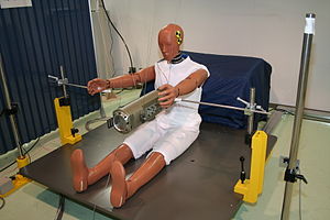 Crash Test Dummy