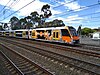 Sydney's iconic double-decker suburban trains