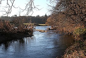 Backwater of the River Deveron - geograph.org.uk - 685994.jpg