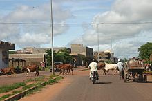 Cattle crossing a road in Bamako Bamako cattle.jpg