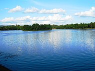 Bat Island, Dimna Lake