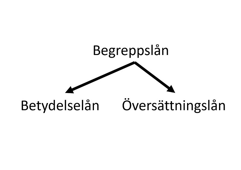 File:Begreppslån.jpg