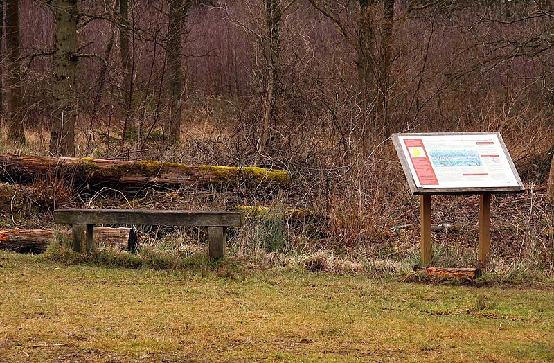 File:Bench and information board in Bernwood Forest - geograph.org.uk - 1743624.jpg
