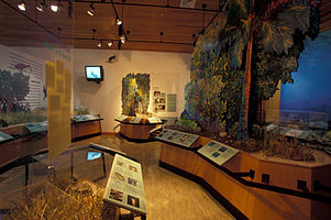 Biscayne National Park H-dante fascell visitor center interior.jpg