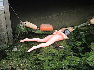 Blow up sex doll - geograph.org.uk - 3024159.jpg