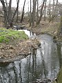 Čeština: Přírodní památka Meandry Botiče v Praze. 2007 English: Nature reservation Meandry Botiče in Prague, 2007.