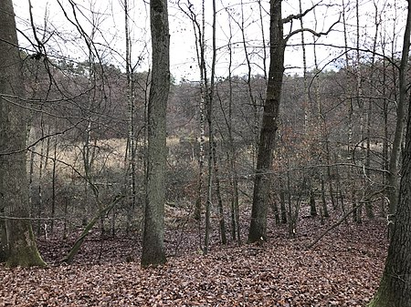 Buckow Märkische Schweiz Liebichpfuhl