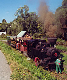 A train on the Cierny Hron Railway CHZ CKD Hronec.jpg