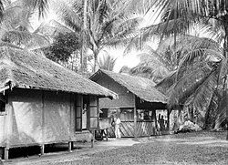 Umah Welanda ring perkebunan kelapa desa Sawarna warsa 1929