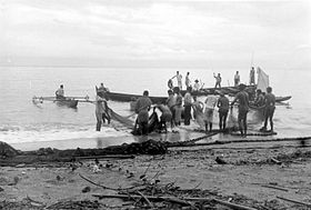Вид на пролив Манипа с западного берега острова Серам. Фотография начала XX века