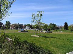 Cal Anderson Park.jpg