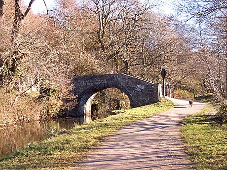 Accommodation bridge