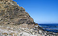 Cape of Good Hope Ordovician Sandstone.jpg
