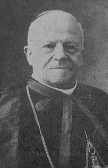 Cardinal Cattani.JPG