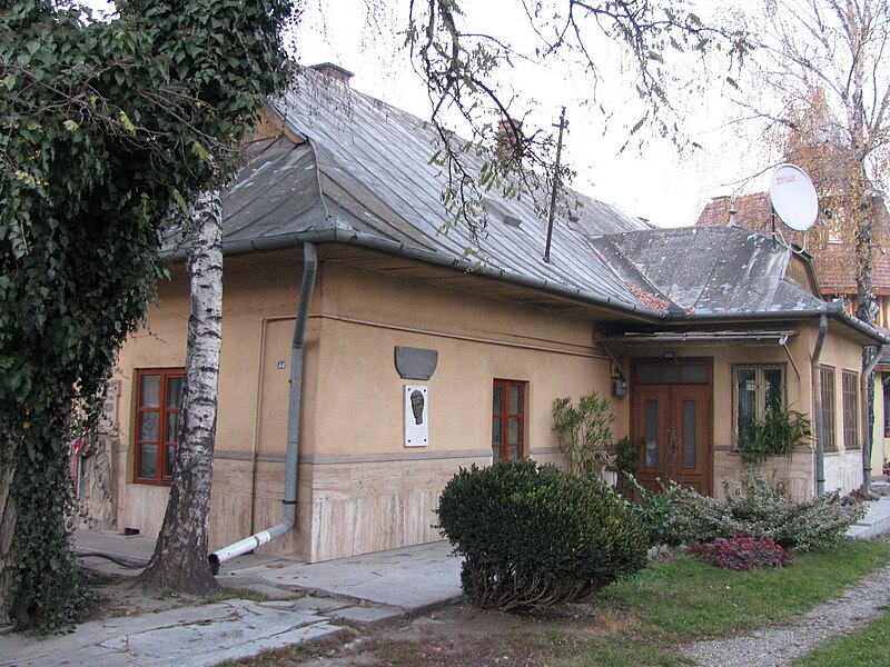 File:Casa memorială Sándor Petőfi (Str. Dr. Ioan Ratiu Nr. 44).jpg