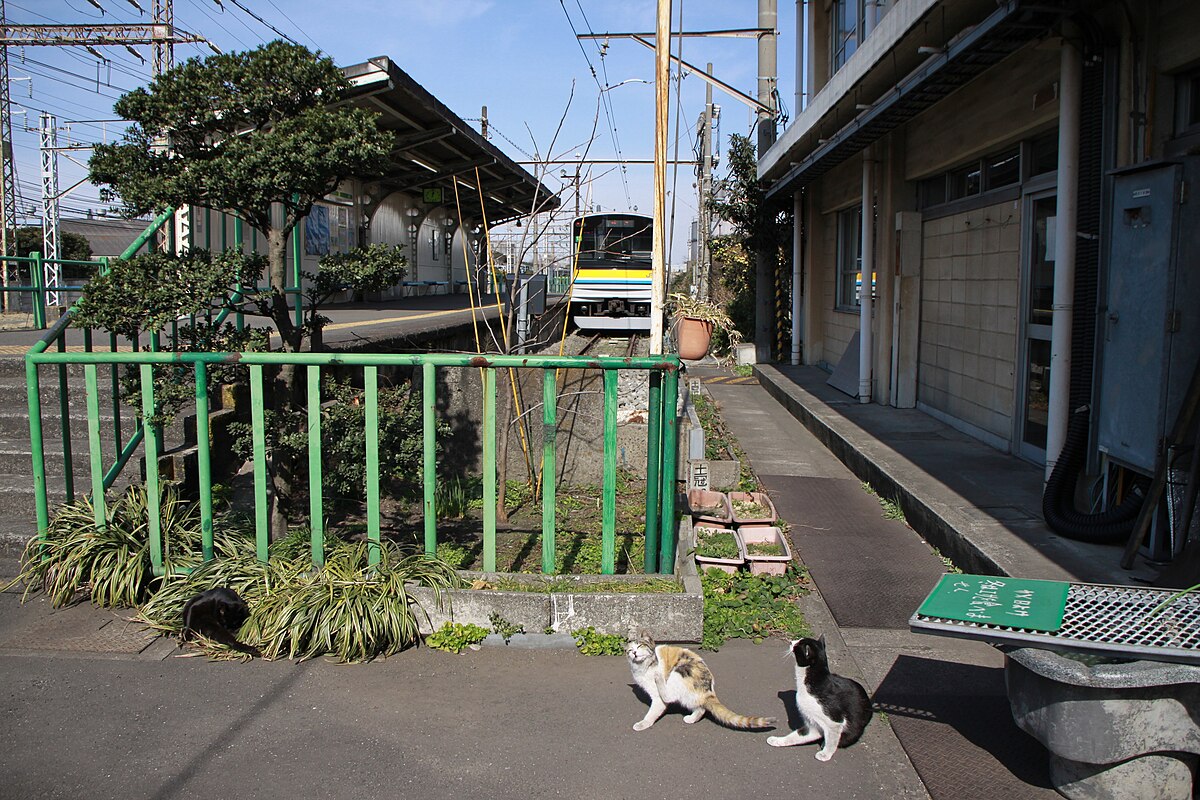 ファイル Cats On Ogimachi Station Jpg Wikipedia