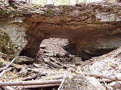 La Wolf Cave.