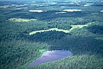 Cedar Creek Ecosystem Science Reserve