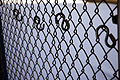 Chain-link-Fence.jpg