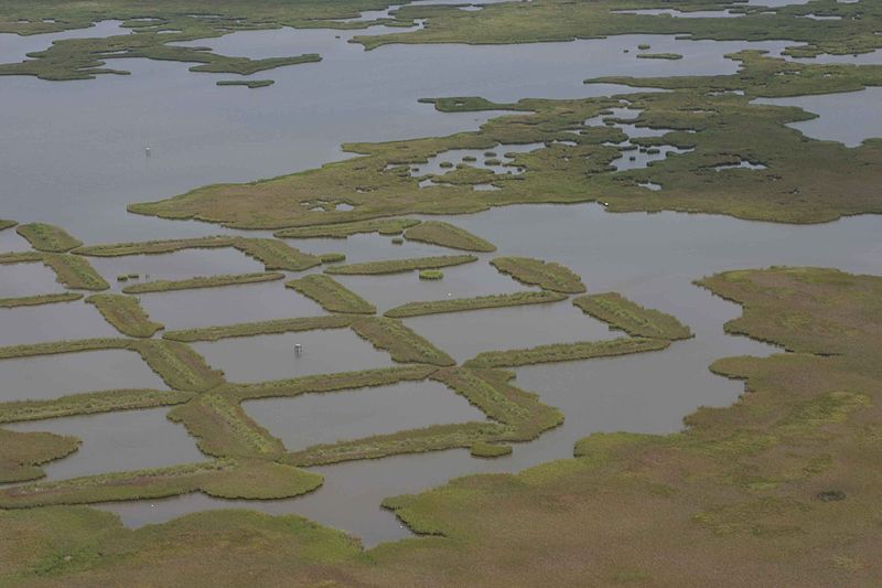 File:Checkerboard terraces.jpg